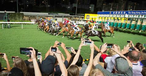 Horse Races Crawl in Hong Kong - Klook New Zealand