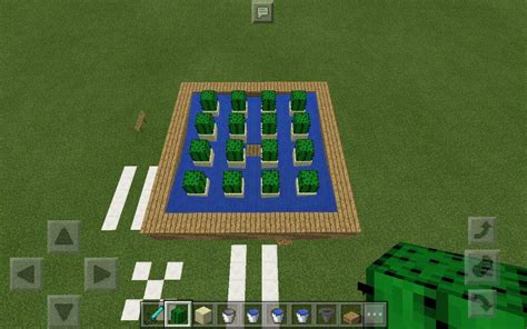 Tutorial: How to make a simple cactus farm!🌵 | Minecraft Amino