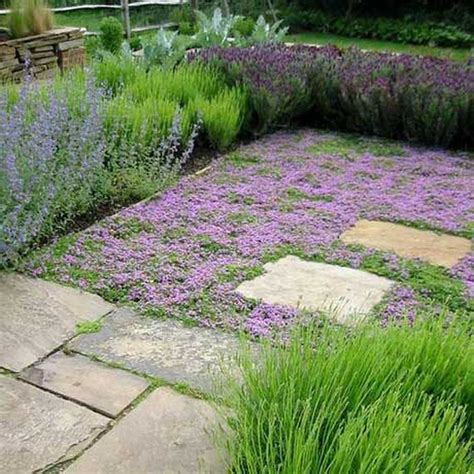 Alternatives to grass - what can I have instead of a lawn? - Design for Me