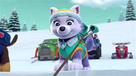 Paw Patrol Everest Wallpapers - Wallpaper Cave