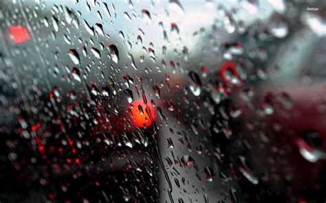 Rainy window HD wallpaper | Rainy window, Rain wallpapers, Computer ...