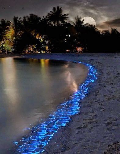 Sea of Stars on Vaadhoo Island, Maldives in 2020 | Cool places to visit ...