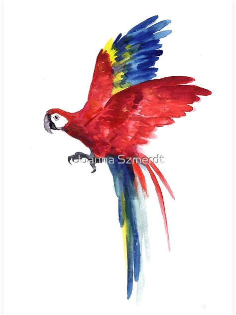 "Macaw Red Blue Parrot Watercolor Painting Tropical Bird " Poster by ...