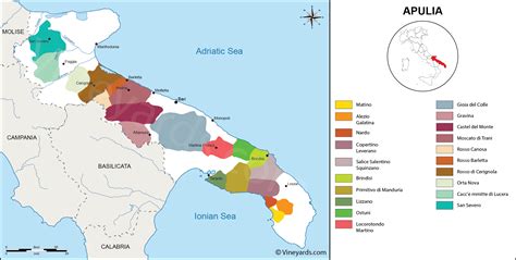 Apulia Map of Vineyards Wine Regions