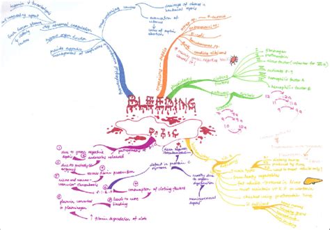 a). Example of student mind map | Download Scientific Diagram