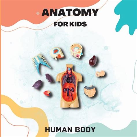 Human Body Anatomy for Kids: An Introduction to the Human Body for Kids ...