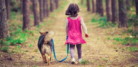 Top 5 Reasons to Take Your Dog for a Walk - Rescue Dogs 101