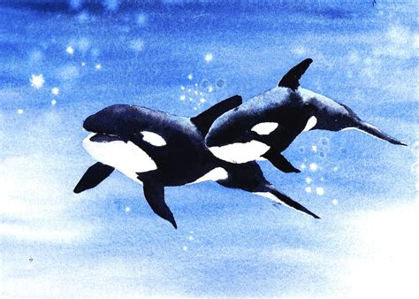 Killer Whale Orca Painting Whale Painting Beach Decor - Etsy