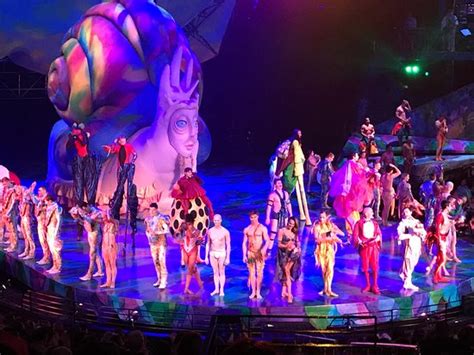 Wildly talented - Review of Mystere by Cirque du Soleil, Las Vegas, NV ...