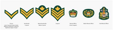 Transparent Drill Sergeant Clipart - Royal Canadian Army Cadets Ranks ...