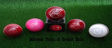 Different Types of Cricket Balls | CricketBio