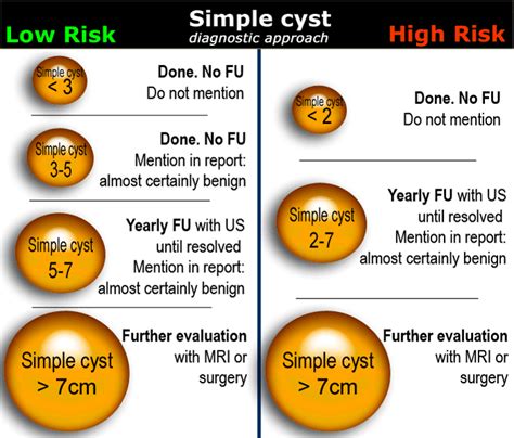 The Radiology Assistant : Roadmap to evaluate ovarian cysts