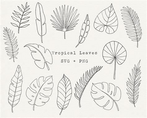 Tropical Leaves Clip Art Digital Botanical Leaf PNG Monstera ...