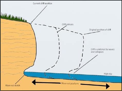 Coasts, Erosional processes, Wave-cut platforms Diagram | Quizlet