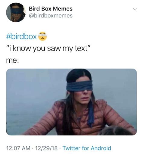 23 Hilarious 'Bird Box' Memes That Are Probably Better Than The Movie ...