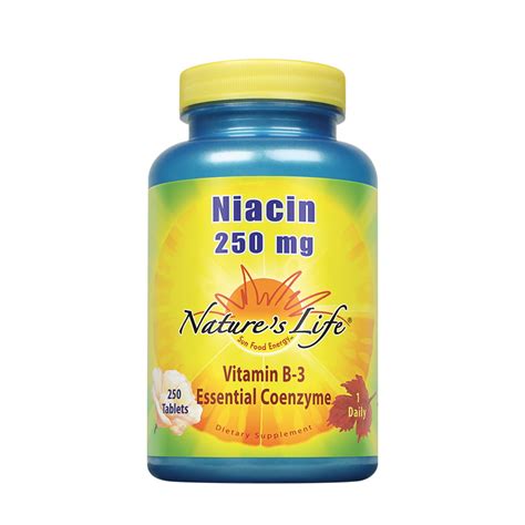 Nature's Life Niacin 250 mg | Vitamin B3 Supplement | Healthy Blood ...