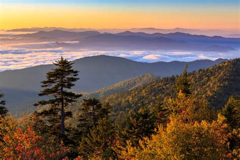 Top 4 Things to Know About Experiencing Fall Foliage in the Smoky Mountains