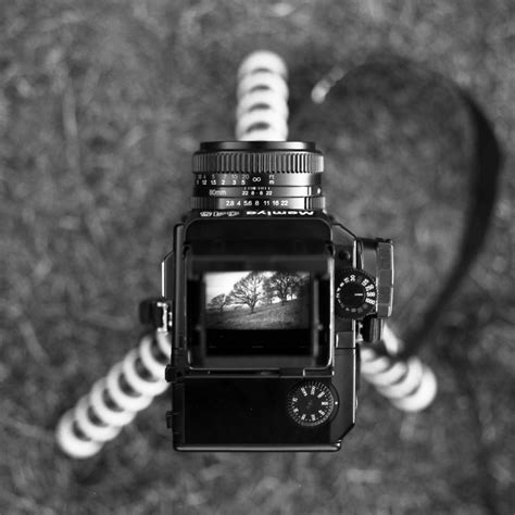 mamiya 645 viewfinder | Brian Dorey Gallery