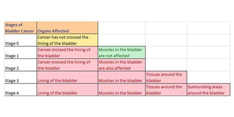 Bladder Cancer / Tumors – Symptoms, Types, Causes and Treatment