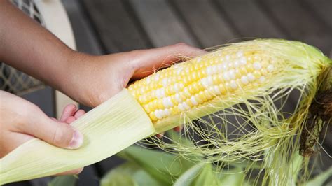 The Corn Shucking Hack That Makes Removing The Silk A Breeze