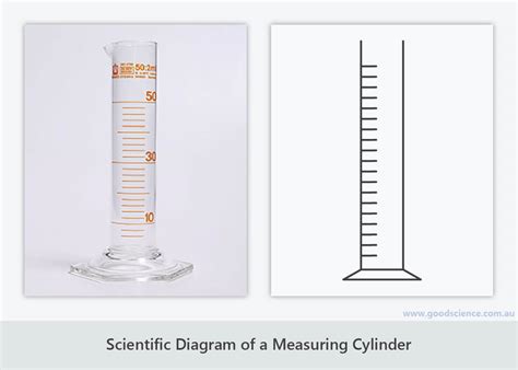 [DIAGRAM] F150 Cylinder Diagram - MYDIAGRAM.ONLINE