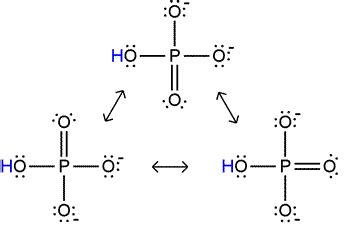 CHEM 245 - Phosphate and phosphoryl groups