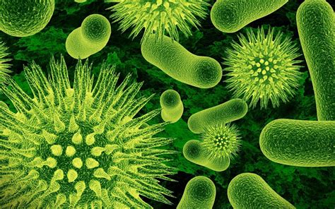 Microbiology HD Wallpapers - Top Free Microbiology HD Backgrounds ...