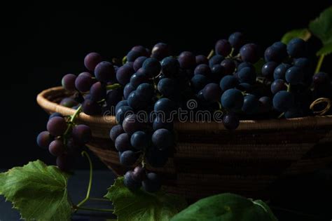 Purple grapes stock image. Image of autumn, fresh, organic - 100597677