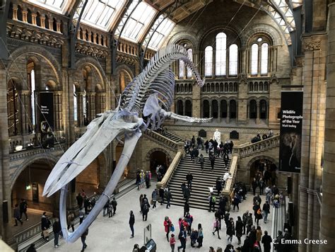 The Natural History Museum, London: A Walk Through Time - Adventures of ...