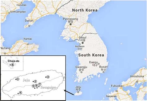 Jeju Island Korea Map