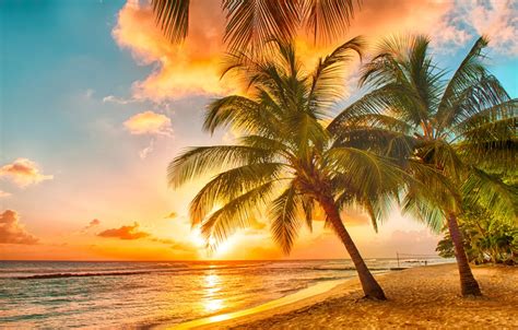 Wallpaper sand, sea, beach, sunset, tropics, palm trees, shore, beach ...