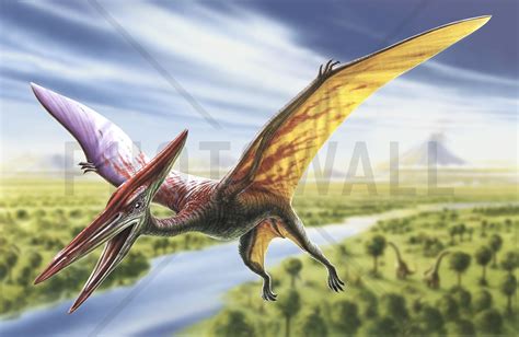 Pterodactyl | Pterodactyl, Dinosaur drawing, Dinosaur