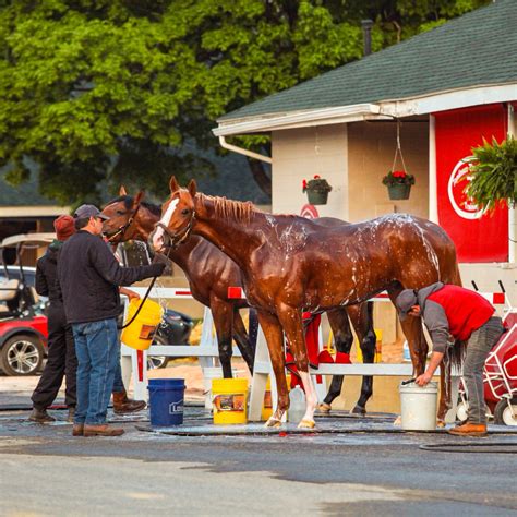 Kentucky Derby Museum on Twitter: "Morning views ahead of Opening Night ...