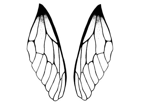 Bug Wing Template