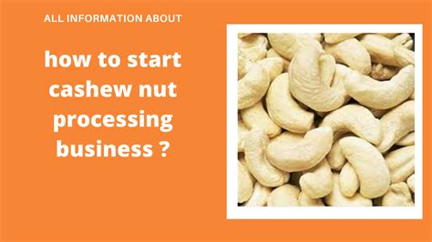 cashew nut processing business - IRS business e-learning