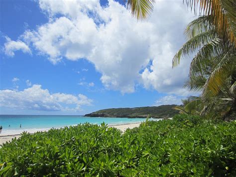 Vieques: The Best Beaches | Discovering Puerto Rico