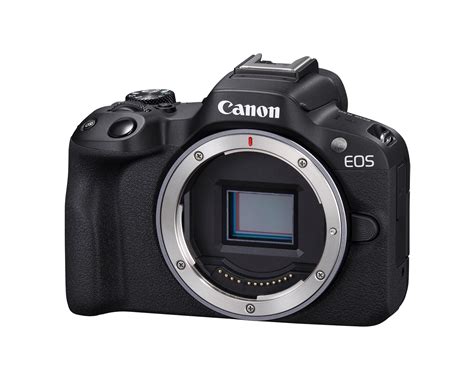 Canon EOS R7 vs EOS R8 Comparison Review, And 10 Main Diff