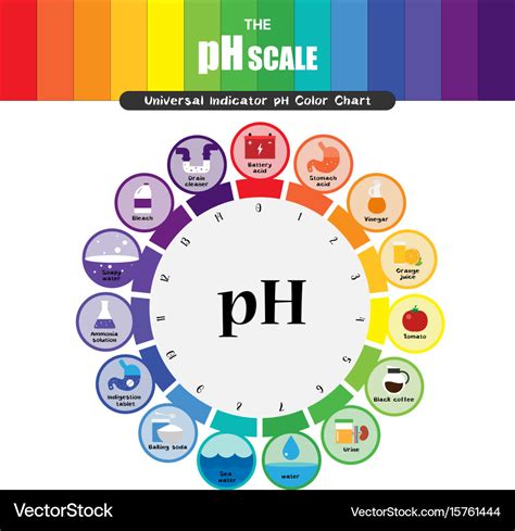 Ph scale universal indicator color chart Vector Image