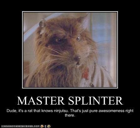 Master Splinter Funny Quotes. QuotesGram