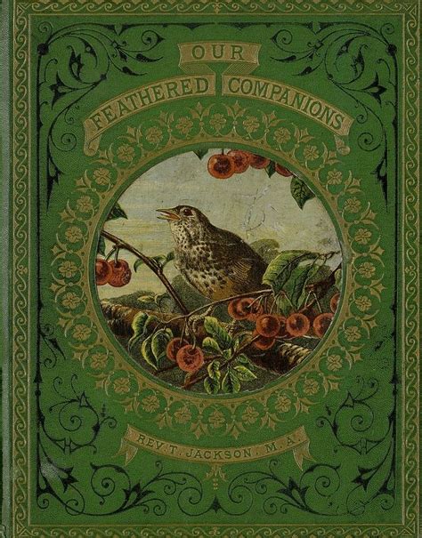 187 best Book Covers images on Pinterest | Antique books, Cover books ...