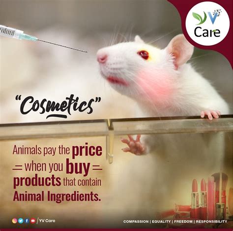 Animal testing in Cosmetics | YV CARE