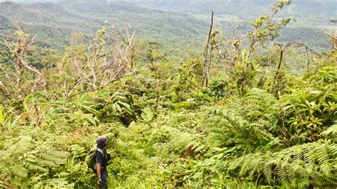 Paradise trekked: Fiji is a hiker’s wonderland | Adventure.com