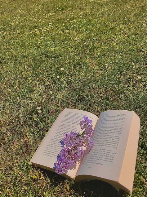 Aesthetic retro book reading outside | Flowers vintage photography ...