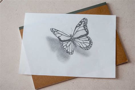 Butterfly drawing in 3D. Step by step — Steemit | Butterfly drawing ...