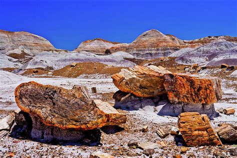 Petrified Forest - Painted Desert Photograph by Bob and Nadine Johnston