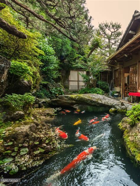 20+ Japanese Garden Pond Ideas – The Urban Decor