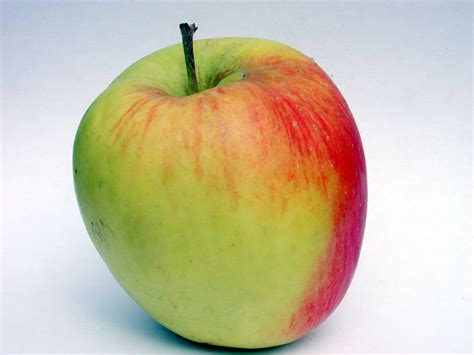 Image*After : photos : apple fruit healthy green red food