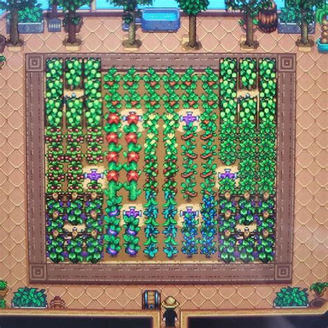 delicatezza Deviazione Allineare greenhouse stardew valley sprinkler ...