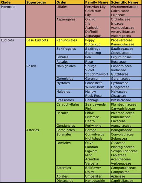 Flower Family Order - Tree Guide UK - Flower Family Order