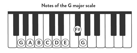 Learn All About the G Major Piano Scale - Hoffman Academy Blog